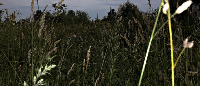За Резинотехникой в Очапках